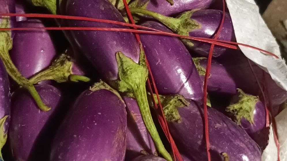 BRINJAL